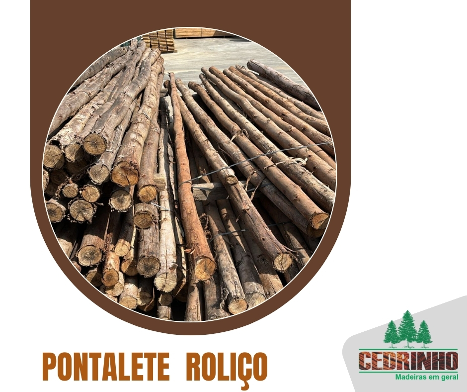 12 pontalete ROLIÇO  (1).jpg