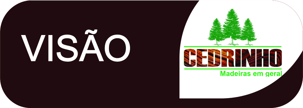 VISÃO.jpg
