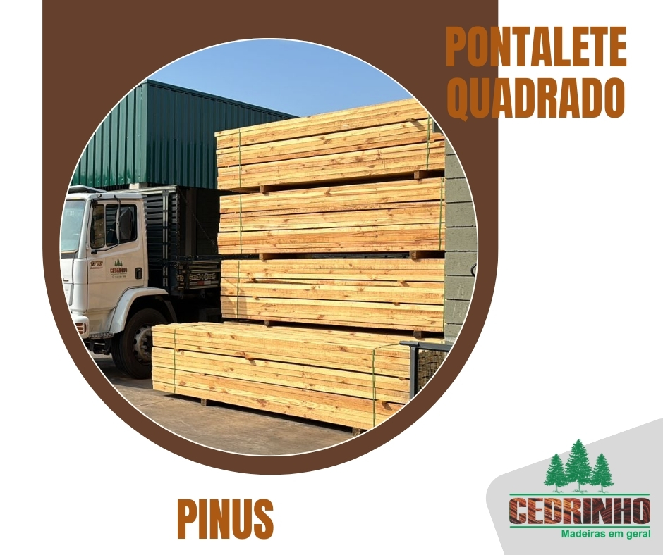 11 pontalete de pinus.jpg