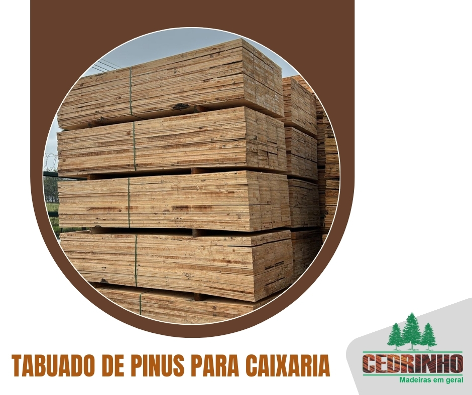 _ 6 Tabuado de pinus.jpg